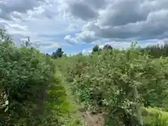 9445 Catherwood Road, Mission, BC