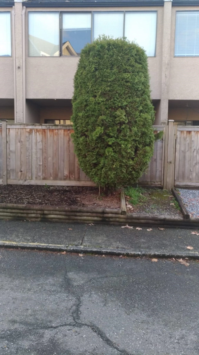 Office / Den Photo of 68 17712 60 Avenue, Surrey, BC