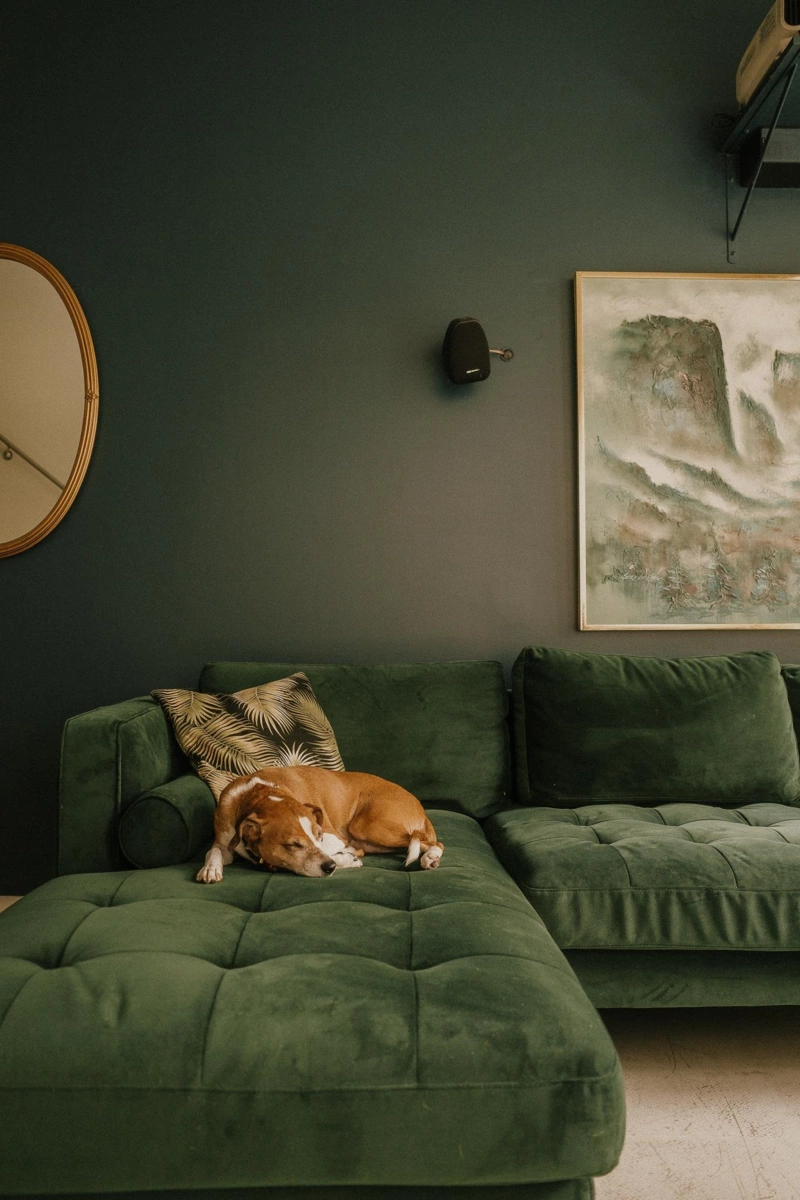 Staircase Photo of 217 336 E 1st Avenue, Vancouver, BC