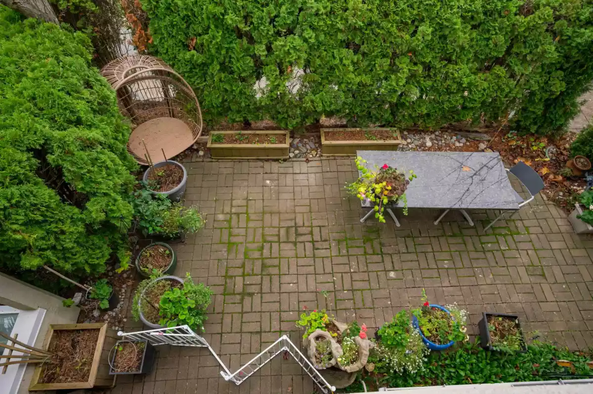 Backyard Photo of 101 1225 Merklin Street, White Rock, BC