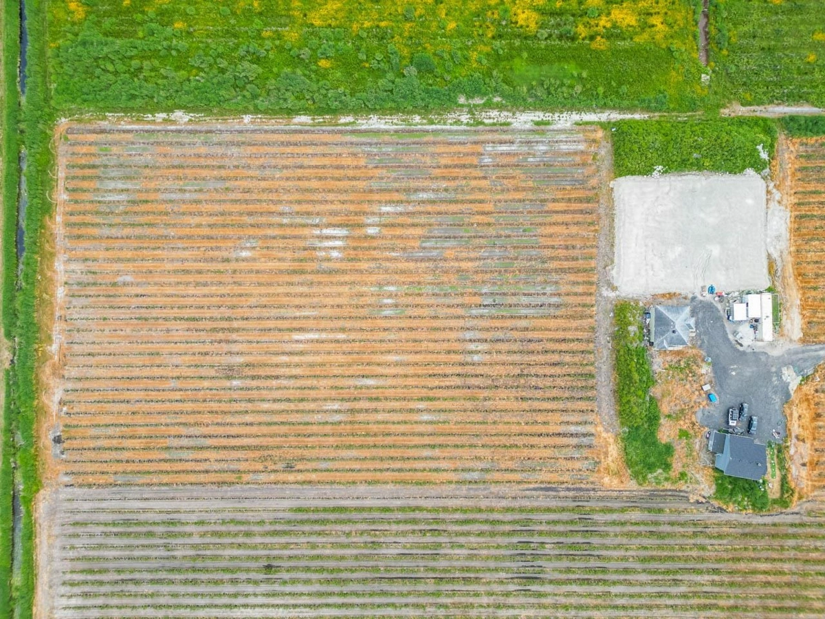 Basement Recreation Room Photo of 17027 40 Avenue, Surrey, BC