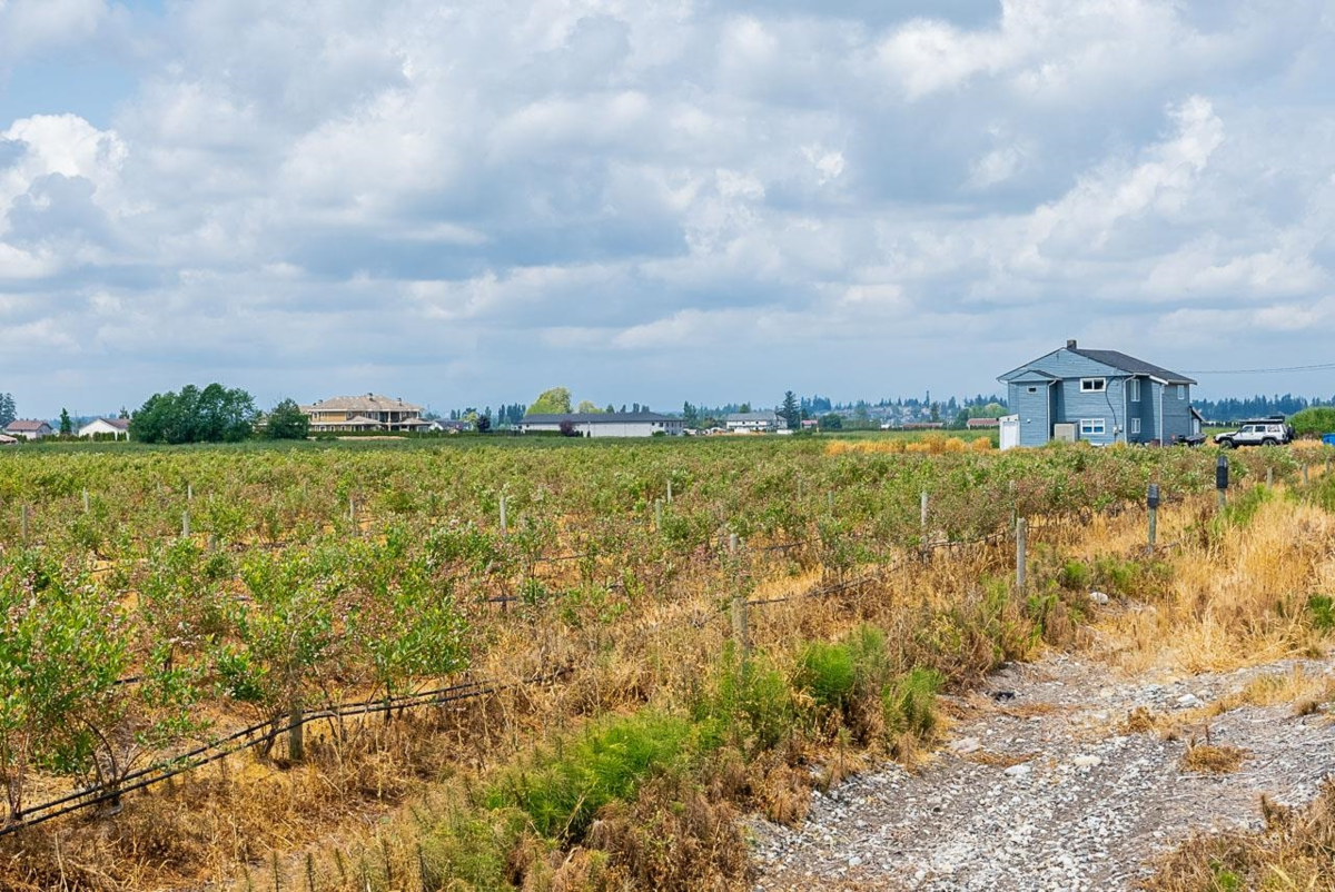 Loft / Bonus Room Photo of 17027 40 Avenue, Surrey, BC
