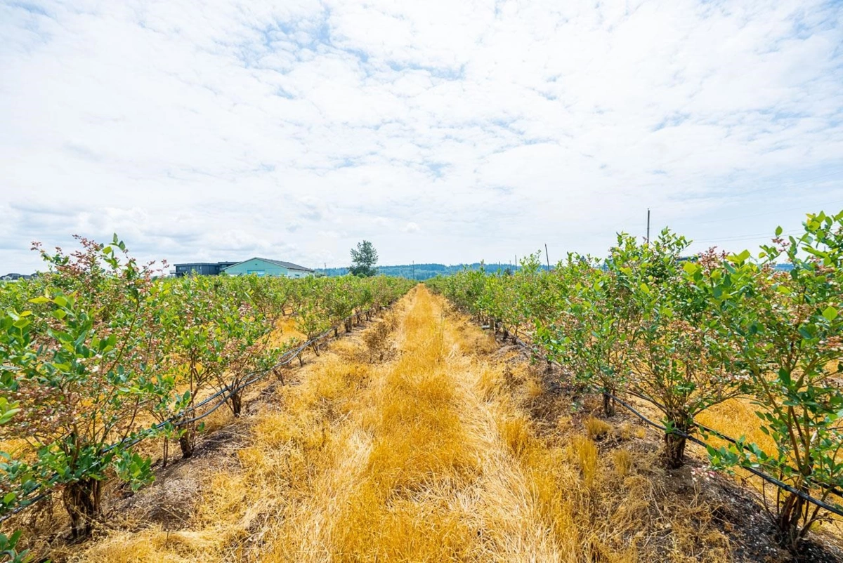 Office / Den Photo of 17027 40 Avenue, Surrey, BC