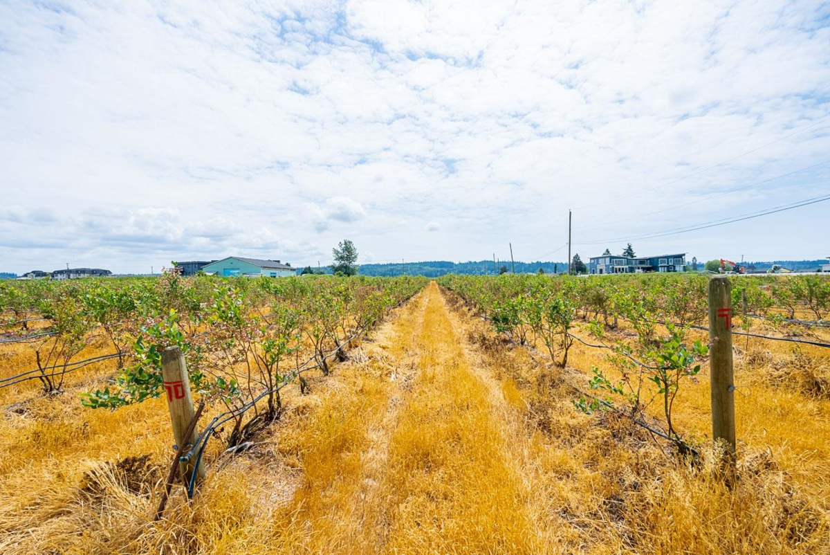 Powder Room Photo of 17027 40 Avenue, Surrey, BC