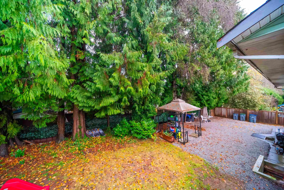 Neighborhood Park Photo Near 10123 158a Street, Surrey, BC