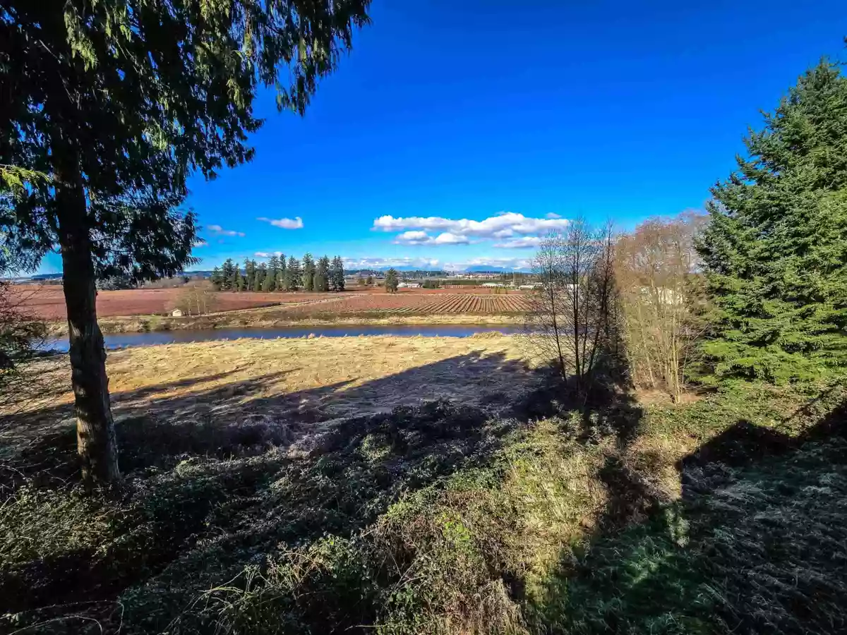 Outdoor Kitchen Photo of 305 15145 36 Avenue, Surrey, BC