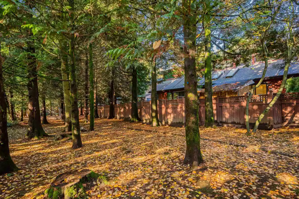 Outdoor Patio Photo of 4814 Fernglen Drive, Burnaby, BC