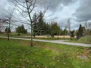 512 10603 140 Street, Surrey, BC, Surrey — Apartment/Condo for sale