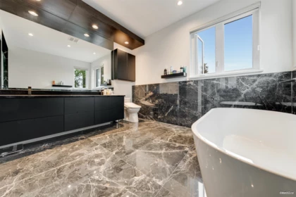 Aerial View of 710 Ivy Avenue, Coquitlam, BC