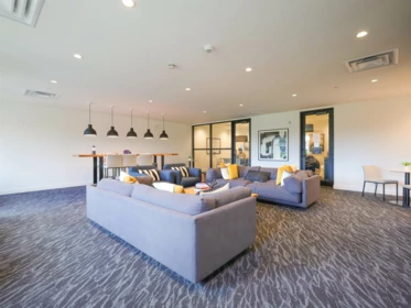 Basement Recreation Room Photo of 224 3131 Murray Street, Port Moody, BC