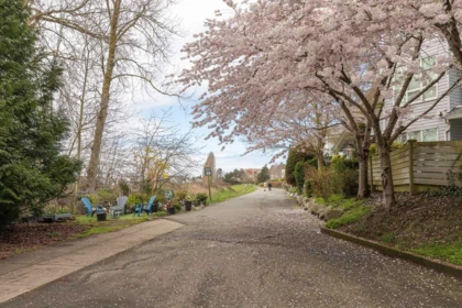 Garden / Landscaping Photo of 415 12633 No. 2 Road, Richmond, BC