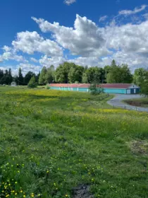 Swimming Pool Photo of 4393 Townline Road, Abbotsford, BC