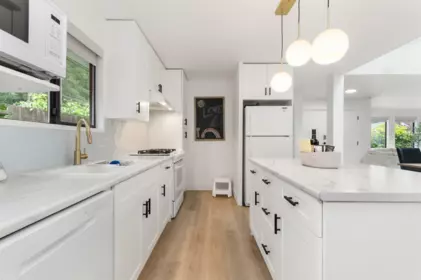 Pantry Photo of 372 Cedar Street, Cultus Lake, BC