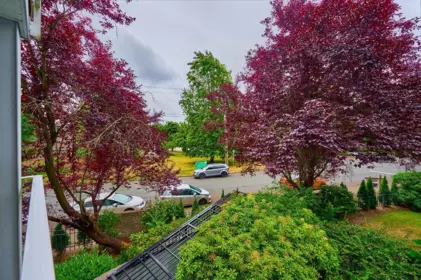 Laundry Room Photo of 212 5465 201 Street, Langley, BC