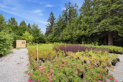 Garden / Landscaping Photo of 13965 Harris Road, Pitt Meadows, BC