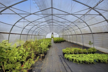 Street View Photo of 13965 Harris Road, Pitt Meadows, BC