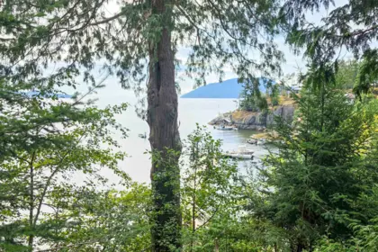 Swimming Pool Photo of SITE 8 SC 122 Bowyer Island Estates, West Vancouver, BC