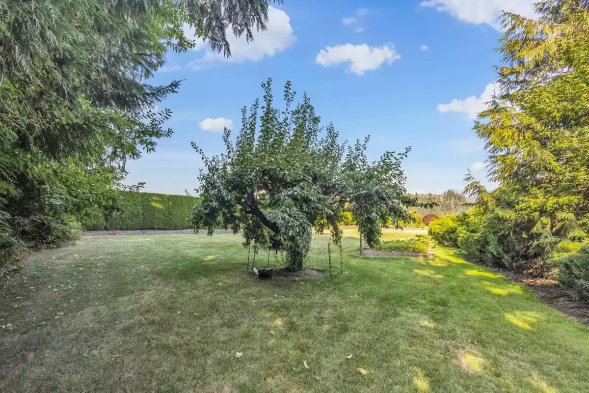 Aerial View of 45360 Magdalena Place, Cultus Lake, BC