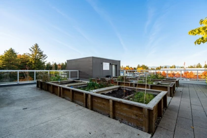 Playground / Recreational Area Near 1206 11967 80 Avenue, Delta, BC