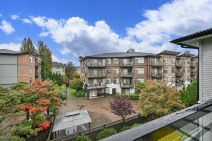 Backyard Photo of 313 8183 121a Street, Surrey, BC