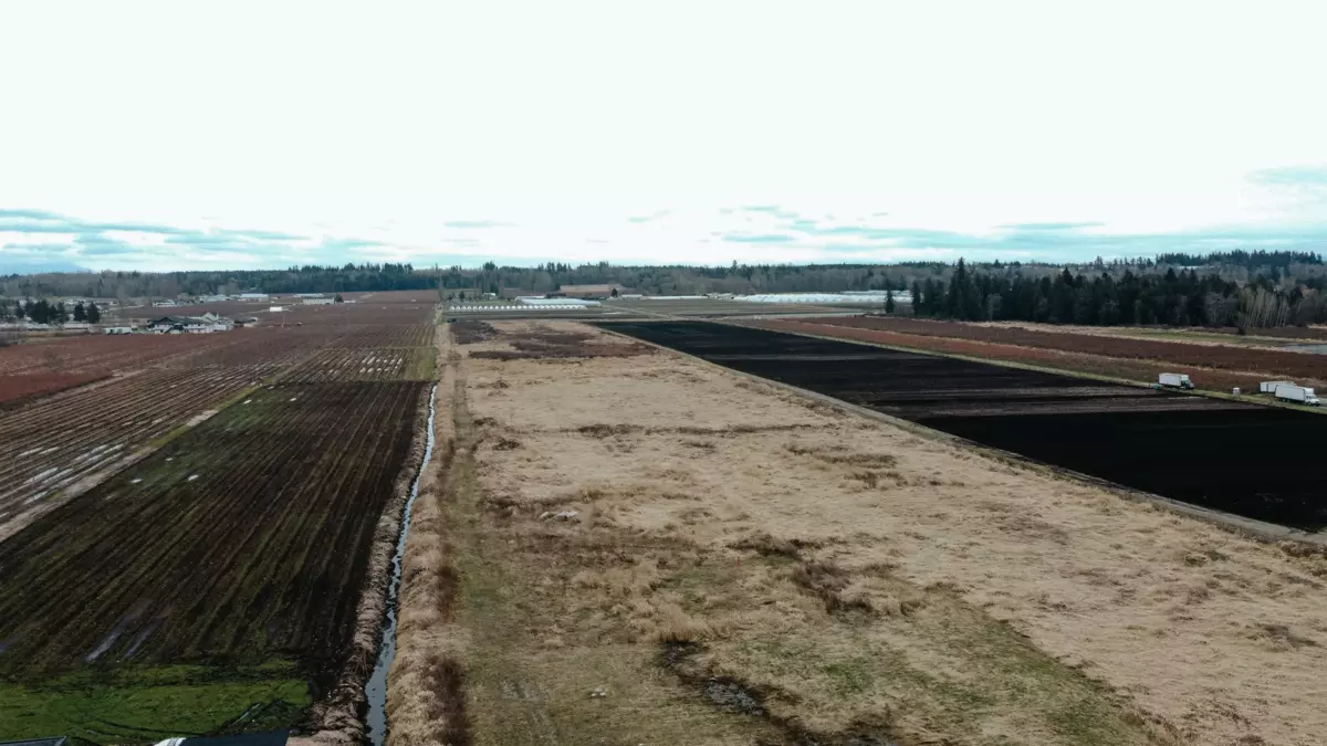 Family Room Photo of 3792 176 Street, Surrey, BC
