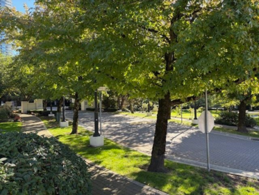 707 2088 Madison Avenue, Burnaby, BC, Burnaby — Apartment/Condo for sale