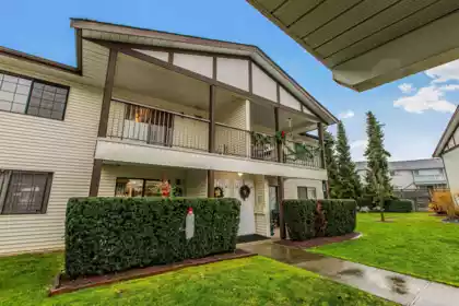 Basement Recreation Room Photo of 50 32718 Garibaldi Drive, Abbotsford, BC