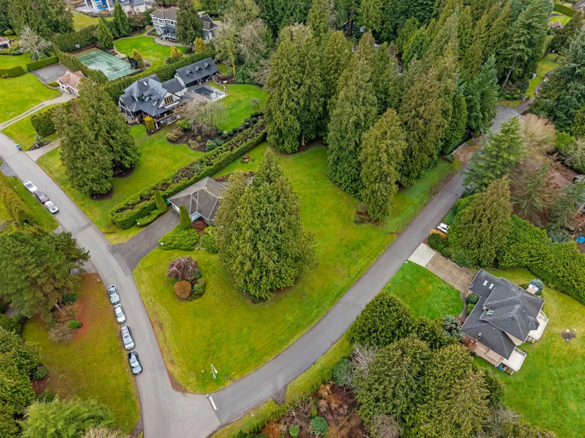 Aerial View of 3039 163 Street, Surrey, BC