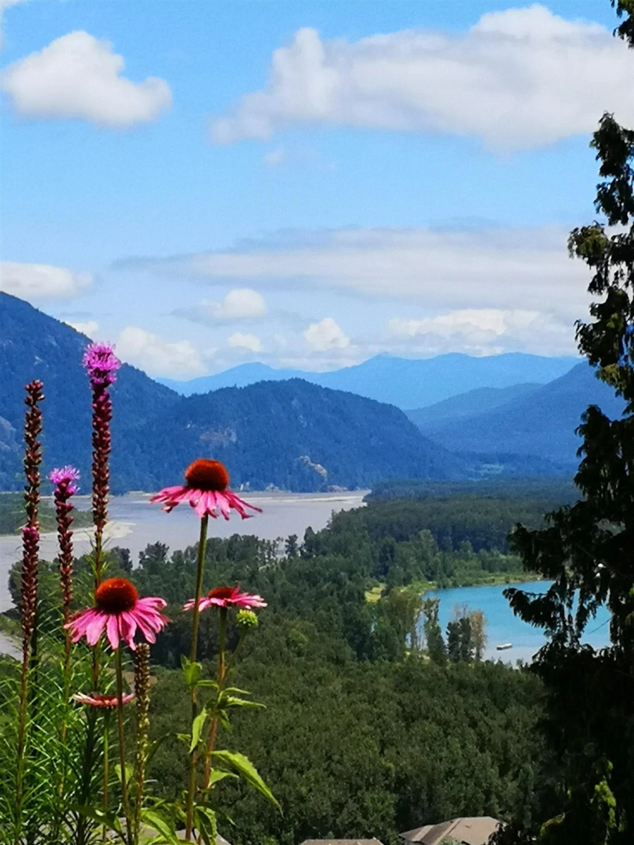 Loft / Bonus Room Photo of 43726 Alameda Drive, Chilliwack, BC