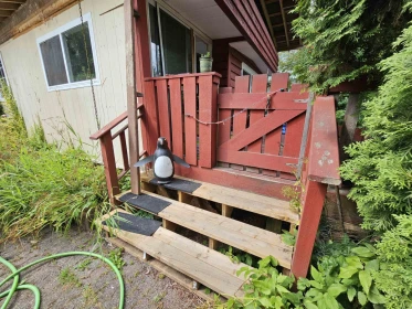 Powder Room Photo of 6 Bracken Parkway, Squamish, BC