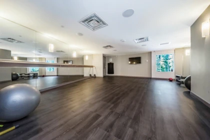 Aerial View of 2601 3080 Lincoln Avenue, Coquitlam, BC