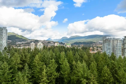 Garden / Landscaping Photo of 2601 3080 Lincoln Avenue, Coquitlam, BC