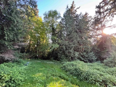 1291 Marlene Road, Roberts Creek, BC, Roberts Creek — Single Family Residence for sale
