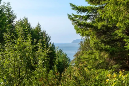 Neighborhood Park Photo Near 1754 Frances Walk, Bowen Island, BC
