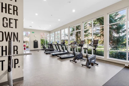 Aerial View of 42 2332 Ranger Lane, Port Coquitlam, BC