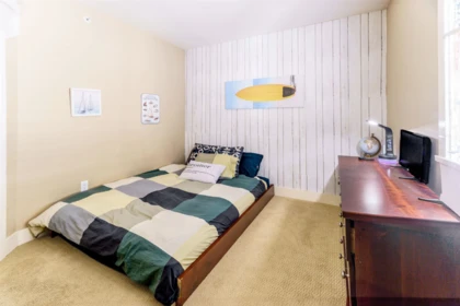 Basement Recreation Room Photo of 11125 234a Street, Maple Ridge, BC