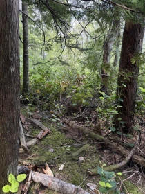 Laundry Room Photo of 1 South Of Debeck Creek, Pitt Meadows, BC