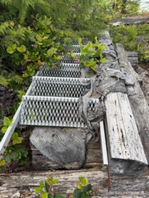 Outdoor Kitchen Photo of 1 South Of Debeck Creek, Pitt Meadows, BC
