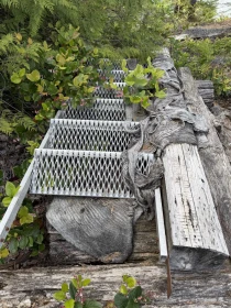 Staircase Photo of 1 South Of Debeck Creek, Pitt Meadows, BC
