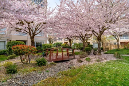 Backyard Photo of 219 2985 Princess Crescent, Coquitlam, BC