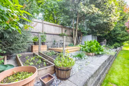 Backyard Photo of 19 8863 216 Street, Langley, BC