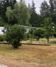 22524 Ross Road, Hope, BC, Hope — Single Family Residence for sale