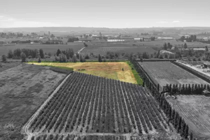 2.891AC 56 Avenue, Surrey, BC, Surrey — Land for sale