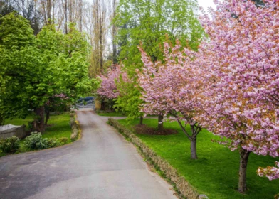 462 248 Street, Langley, BC, Langley — Single Family Residence for sale