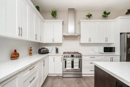 Pantry Photo of 2663 275a Street, Langley, BC
