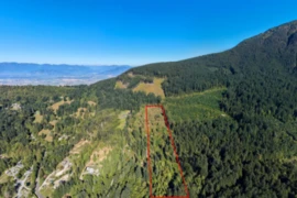 50365 Elk View Road, Chilliwack, BC