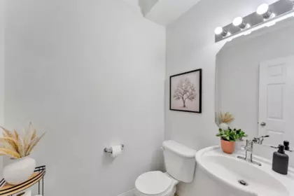Powder Room Photo of 142 1055 Riverwood Gate, Port Coquitlam, BC