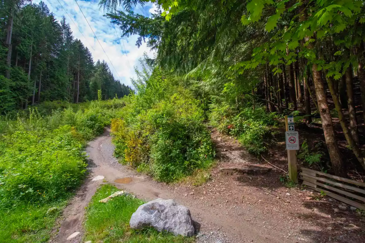 Swimming Pool Photo of 3875 Regent Avenue, North Vancouver, BC