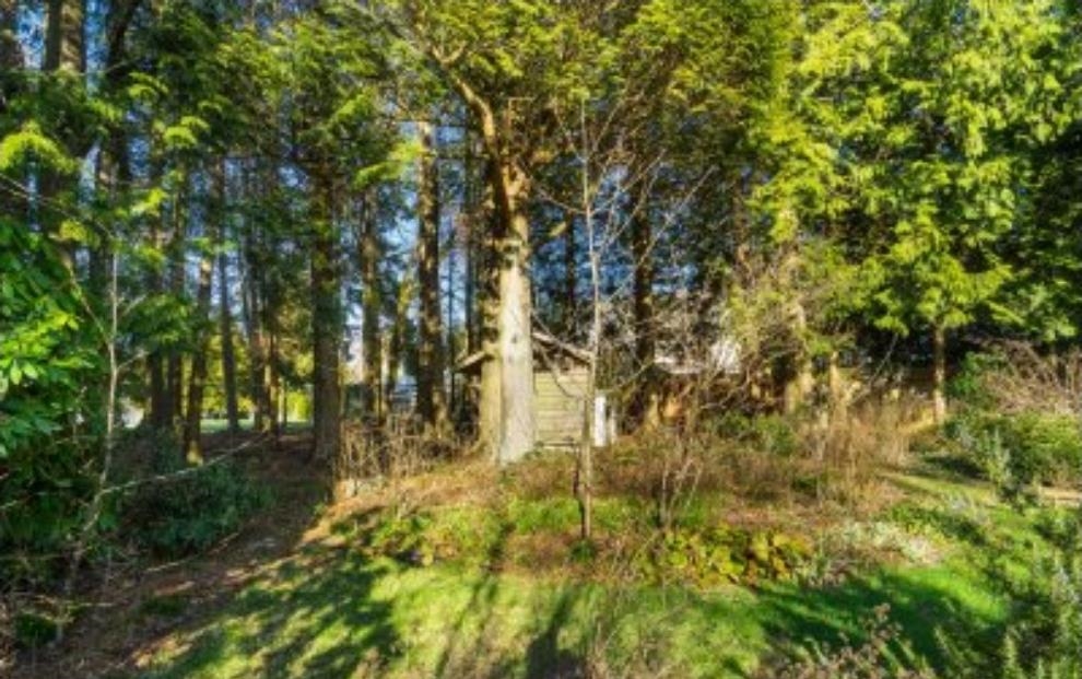 Bedroom 2 Photo of 13671 16 Avenue, Surrey, BC