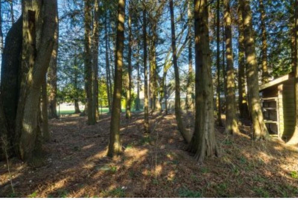 Bedroom 3 Photo of 13671 16 Avenue, Surrey, BC